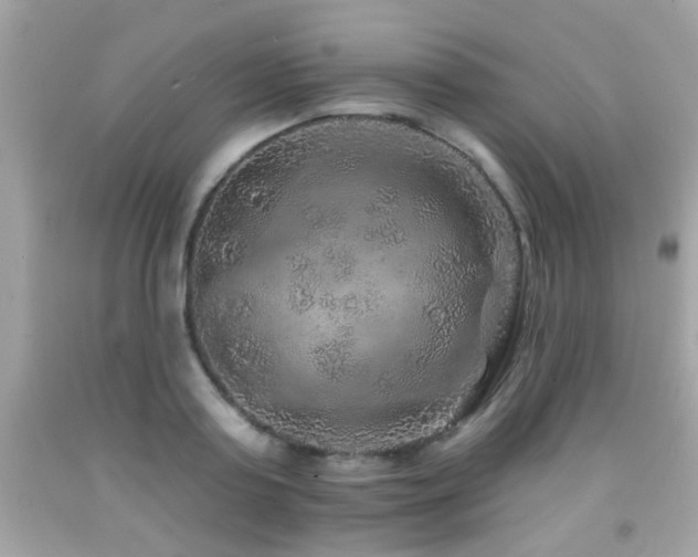 X0000092080795200709121443