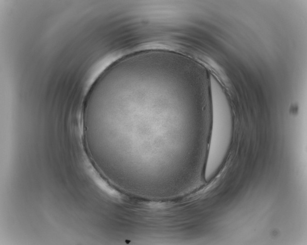 X0000092080796200709121443