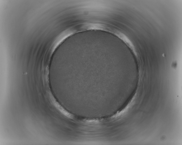 X0000092080798200709121443