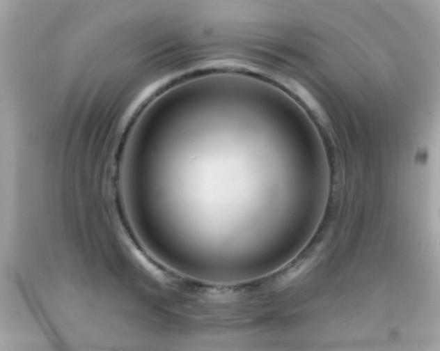 X0000092080799200709121443