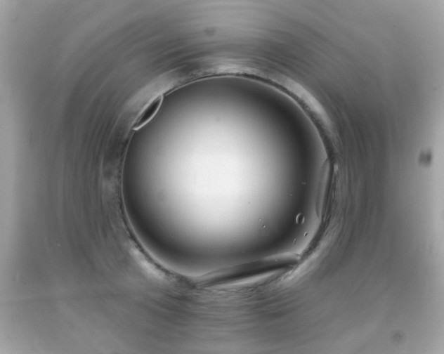 X0000092080801200709121443