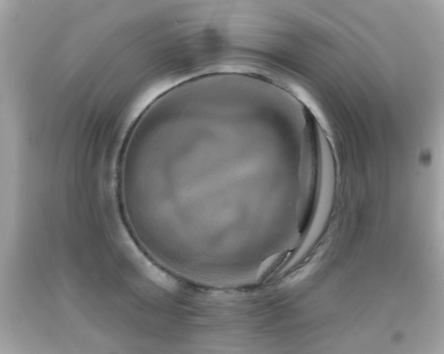 X0000092080803200709121443