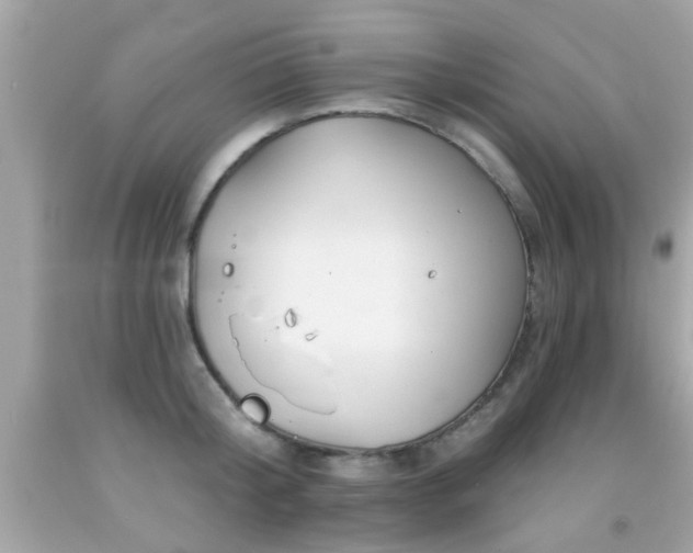 X0000092080804200709121443