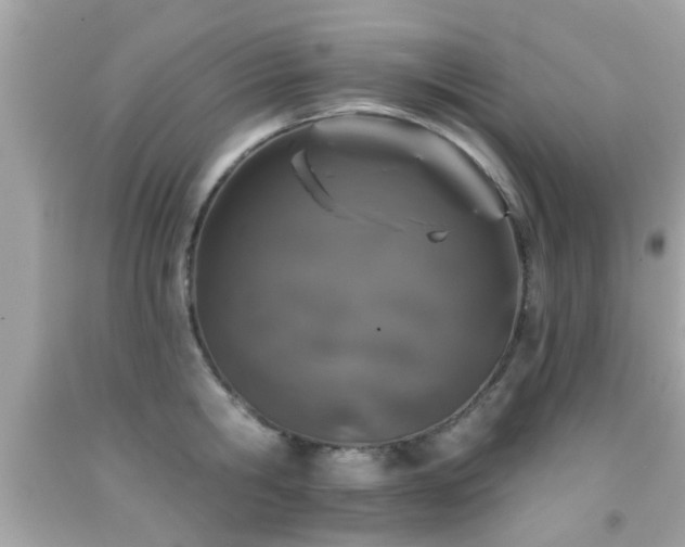 X0000092080806200709121443