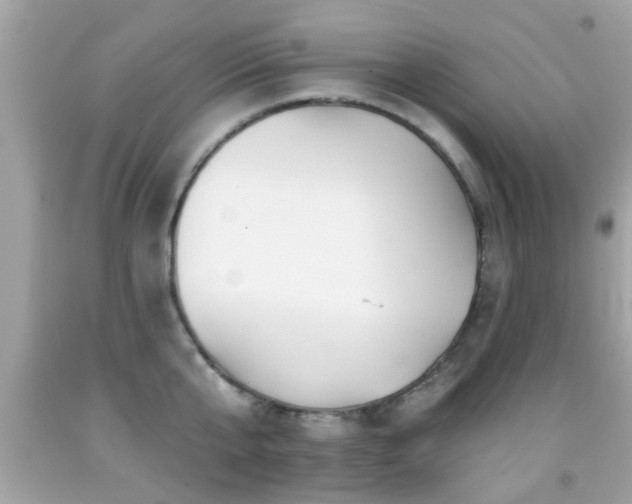 X0000092080807200709121443