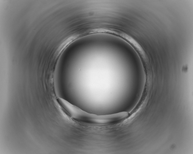 X0000092080809200709121443