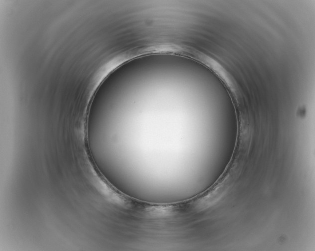 X0000092080810200709121443