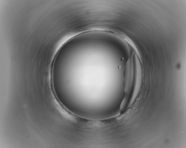 X0000092080811200709121443