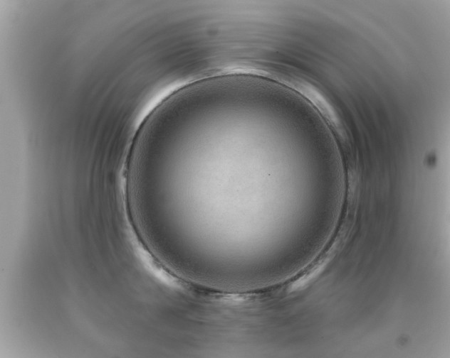 X0000092080814200709121443