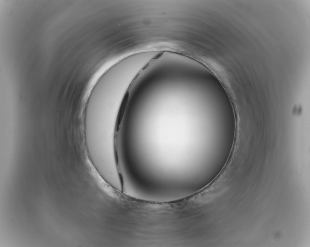 X0000092080816200709121443