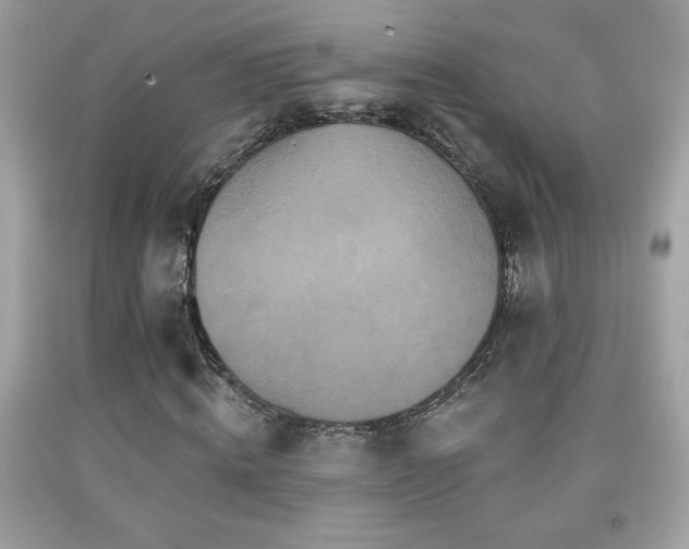 X0000092080820200709121442