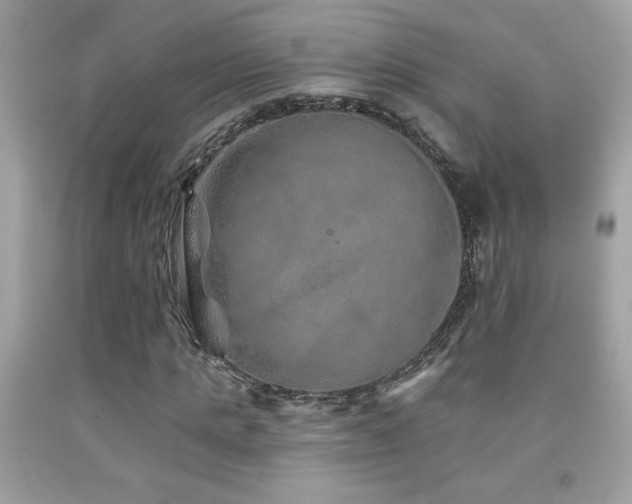 X0000092080821200709121442