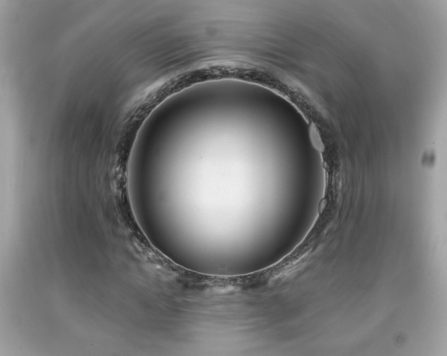 X0000092080822200709121442