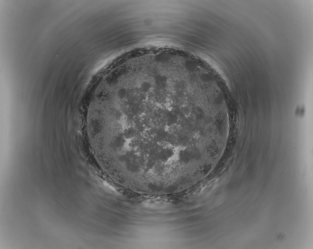 X0000092080823200709121442