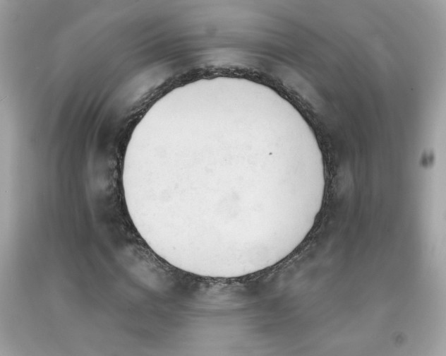 X0000092080824200709121442