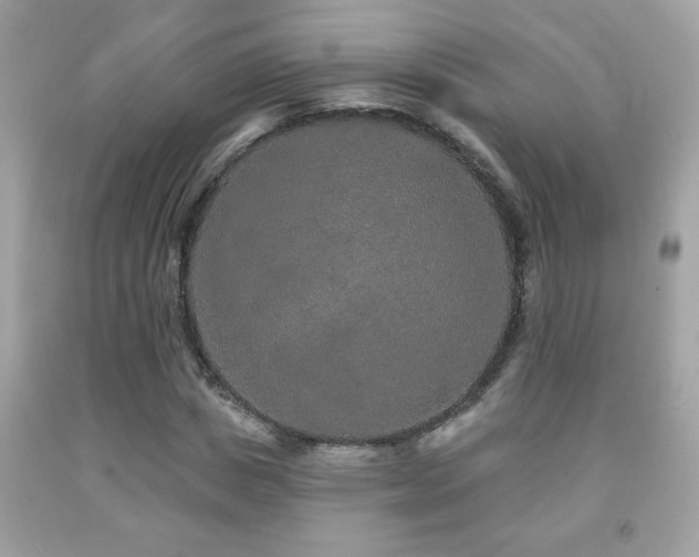 X0000092080825200709121442