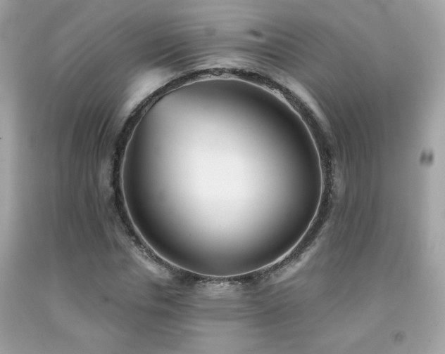 X0000092080826200709121442