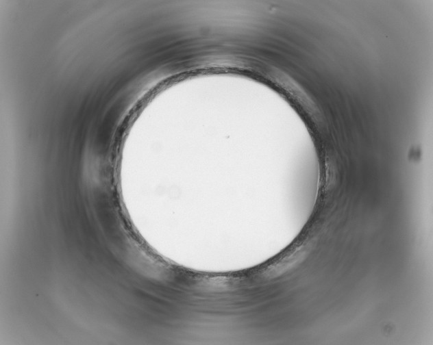 X0000092080828200709121442