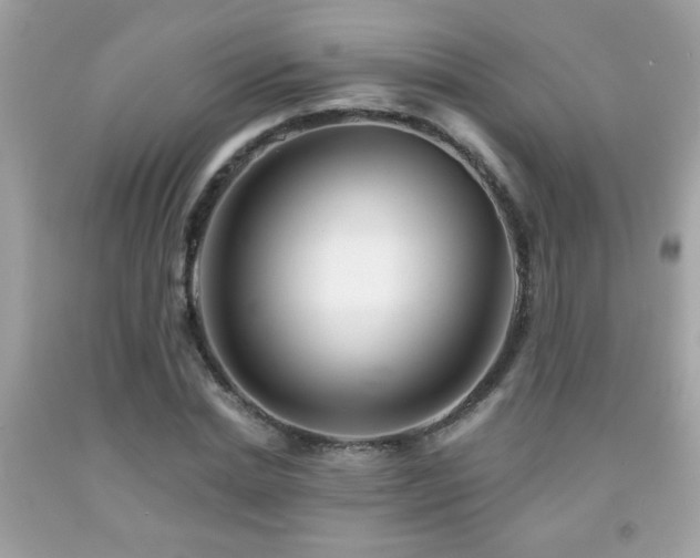 X0000092080830200709121442