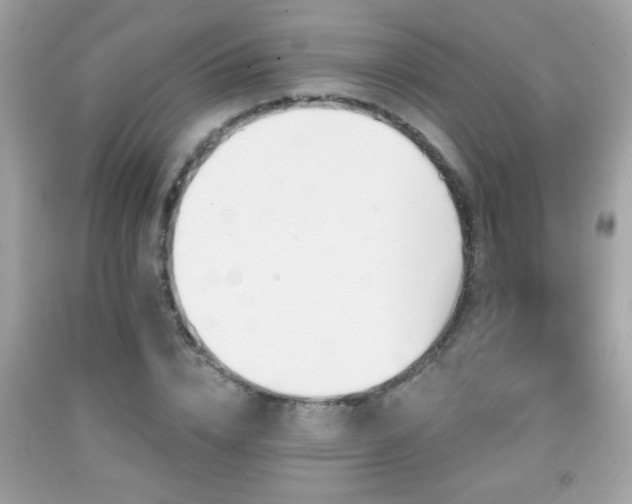 X0000092080832200709121442