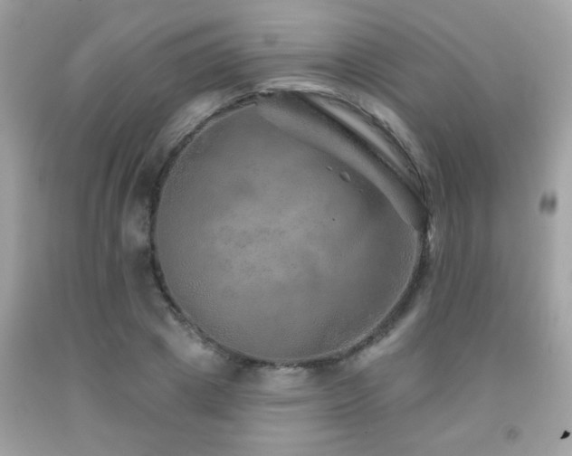 X0000092080833200709121442