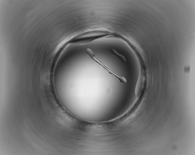 X0000092080834200709121442