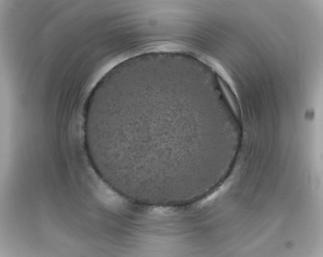 X0000092080835200709121442