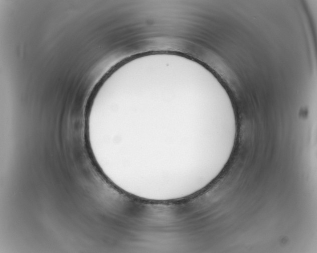 X0000092080836200709121442