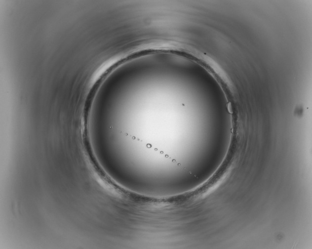 X0000092080837200709121442