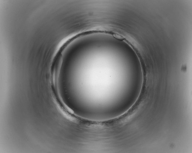 X0000092080838200709121442