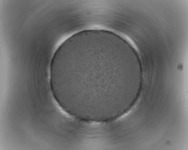 X0000092080839200709121443