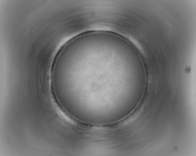 X0000092080840200709121443