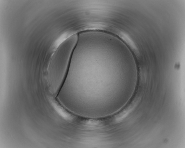 X0000092080842200709121443