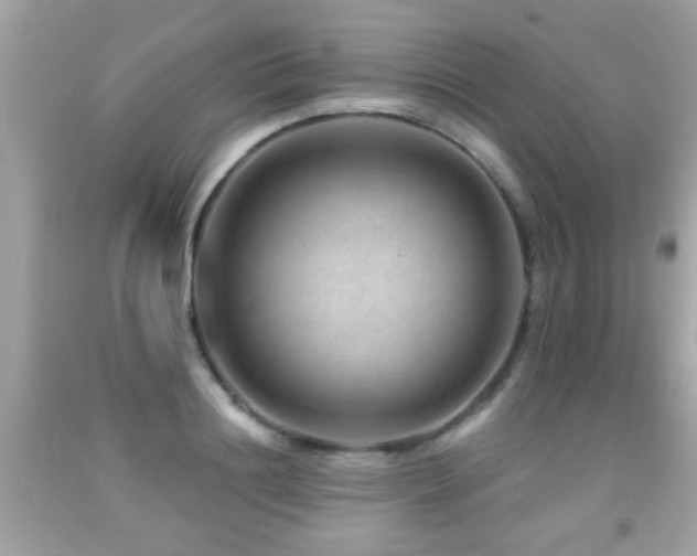 X0000092080844200709121443
