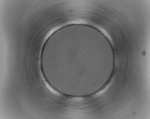 X0000092080845200709121443