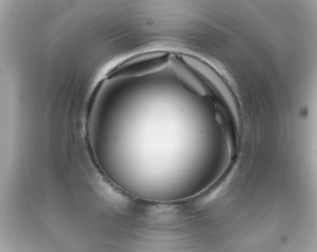 X0000092080846200709121443