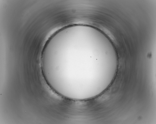 X0000092080848200709121443