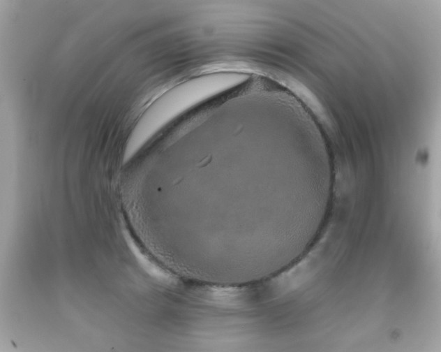 X0000092080849200709121443