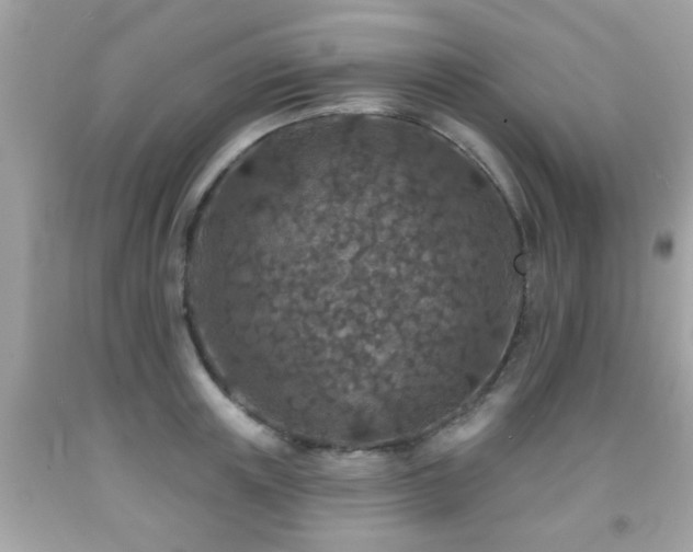 X0000092080851200709121443