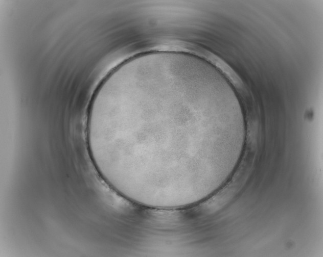 X0000092080856200709121443