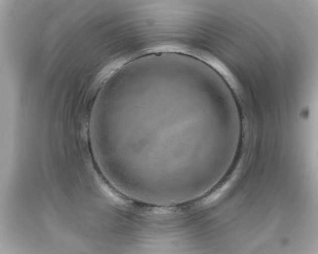 X0000092080857200709121443