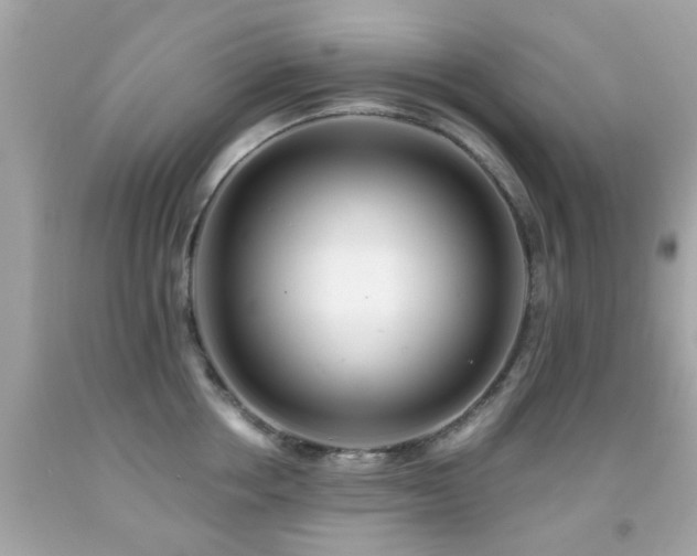 X0000092080858200709121443