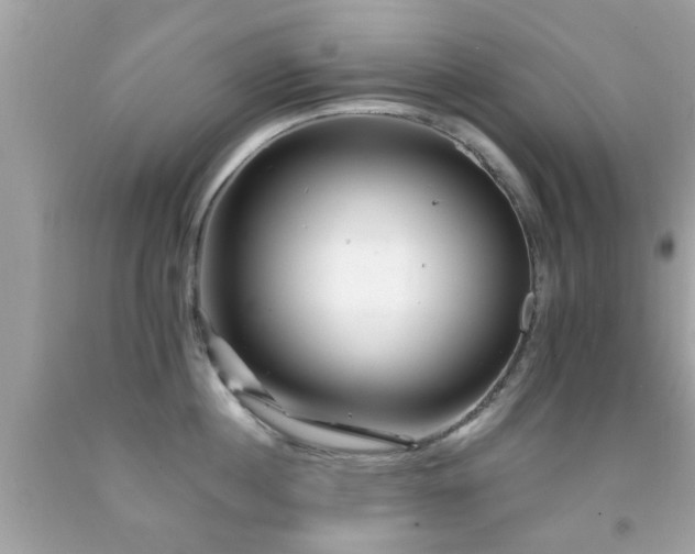 X0000092080860200709121443