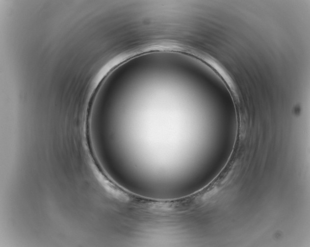 X0000092080861200709121443