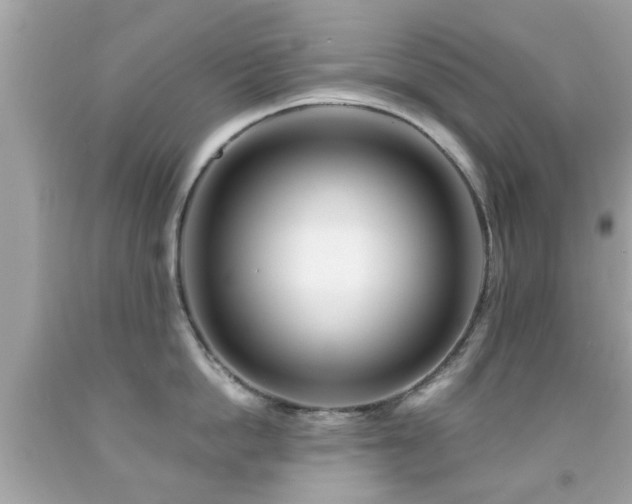 X0000092080862200709121443