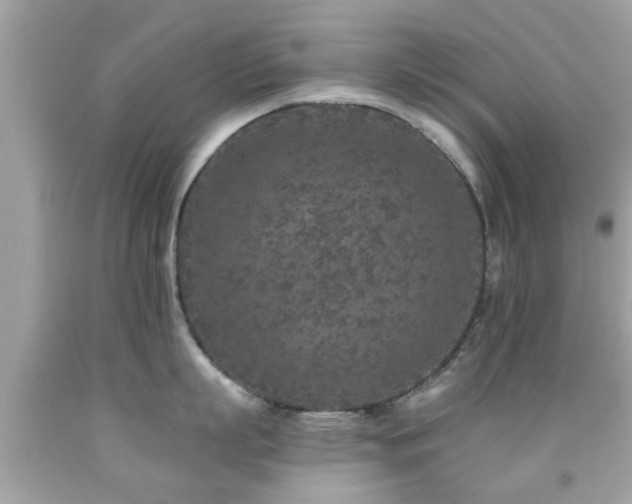 X0000092080863200709121443