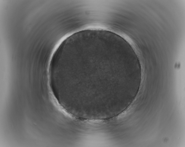 X0000092080864200709121443