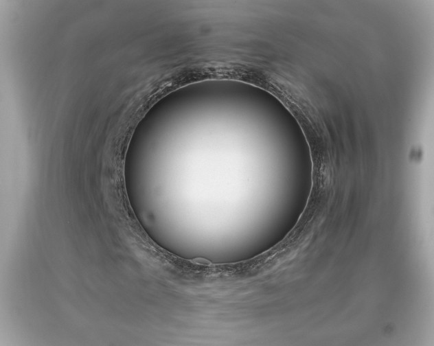 X0000092080865200709121442