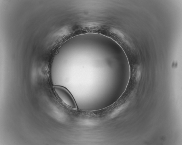 X0000092080866200709121442