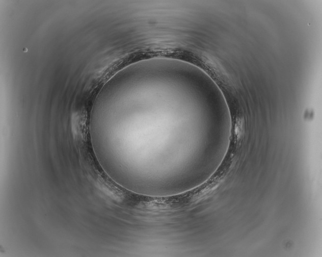 X0000092080867200709121442
